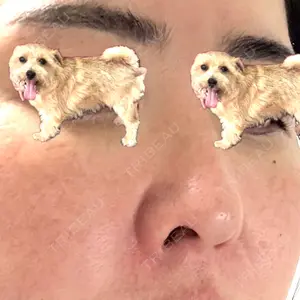 口コミ