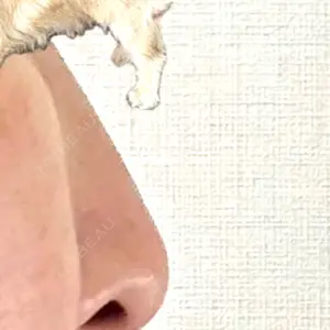 口コミ