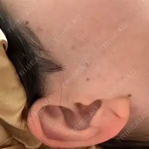 口コミ