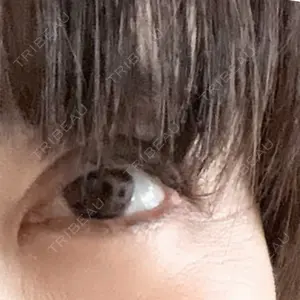 口コミ