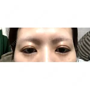 口コミ