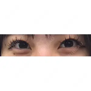 口コミ