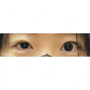口コミ