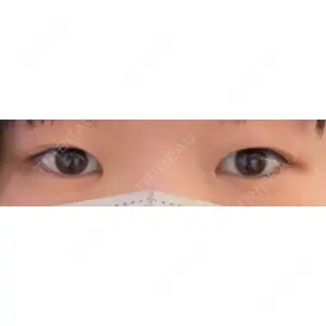 口コミ