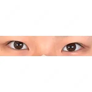 口コミ