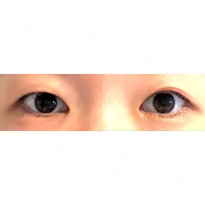 口コミ