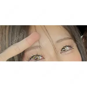 口コミ