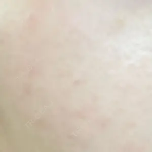口コミ