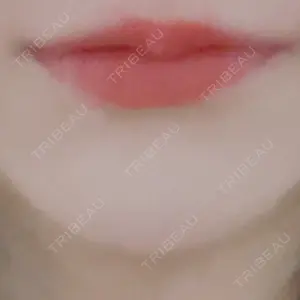 口コミ