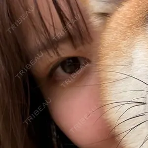 口コミ