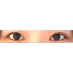 口コミ
