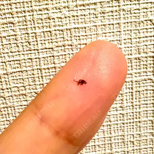 ルラ美容クリニック ルラ美容クリニック 仙台院 / ルラスキンクリニック 仙台院口コミ