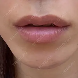 口コミ