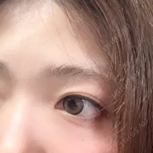口コミ