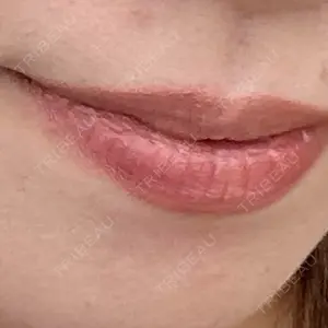 口コミ