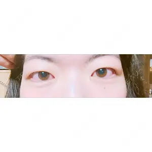 口コミ