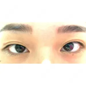 口コミ