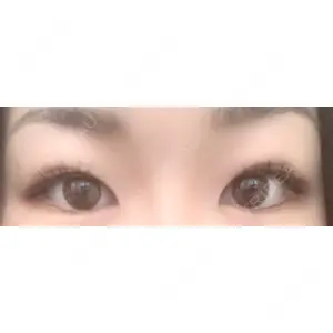 口コミ