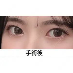 口コミ