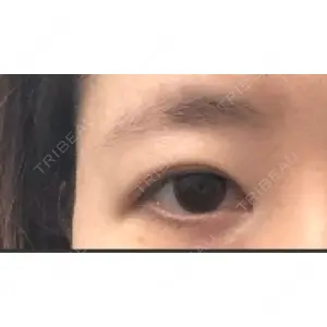 口コミ