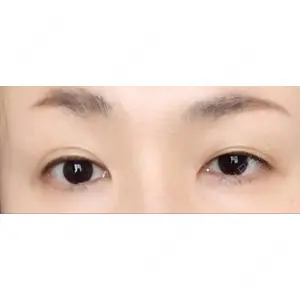 口コミ