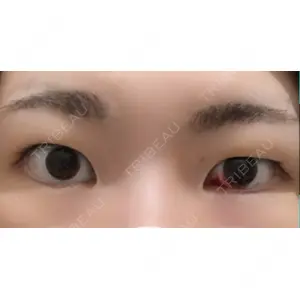 口コミ