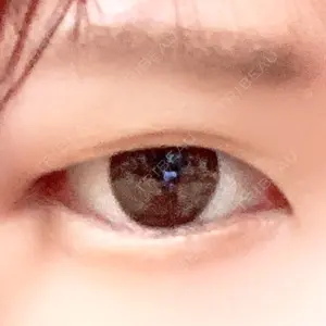 口コミ