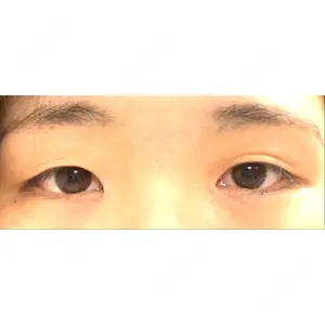 口コミ