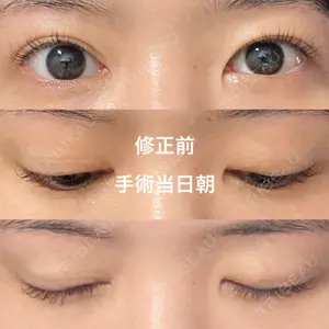 口コミ