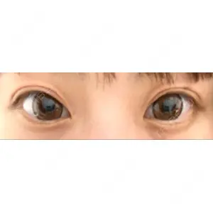口コミ