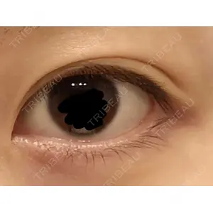 口コミ