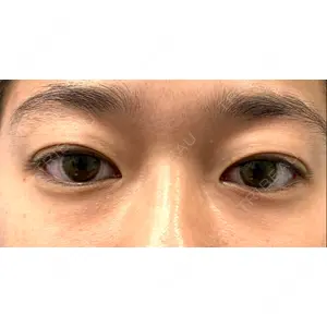 口コミ
