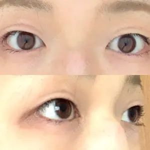 口コミ