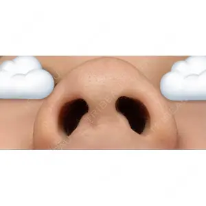 サラ美容外科口コミ