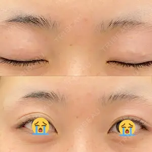 口コミ