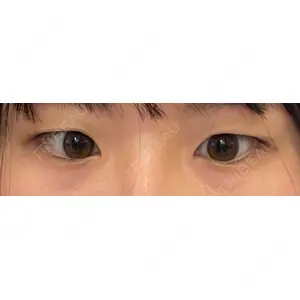 口コミ