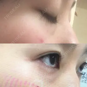 口コミ