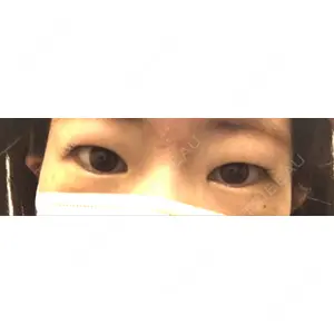 口コミ