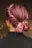 loliee99