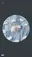 mint_mog_mogu