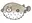 pippippip15
