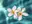 touroku