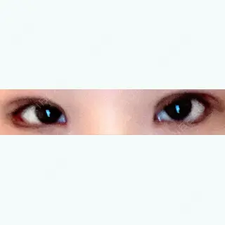 19日目の経過画像（1枚目）