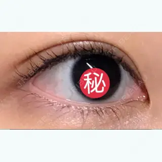 19日目の経過画像（3枚目）