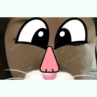 0日目の経過画像（1枚目）