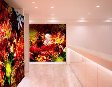 TCB東京中央美容外科 TCB東京中央美容外科 町田院