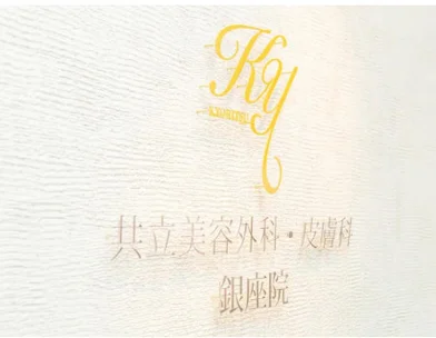 共立美容外科・歯科 共立美容外科 銀座院