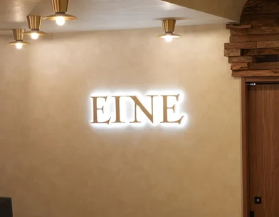 アイネクリニック アイネクリニック　川崎院