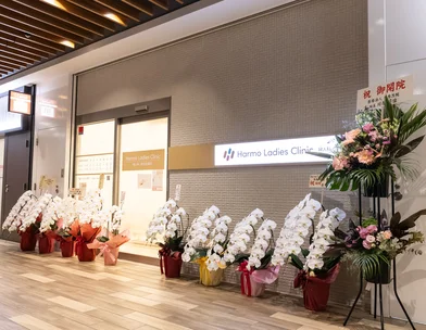 Harmo Ladies Clinic Harmo Ladies Clinic新宿