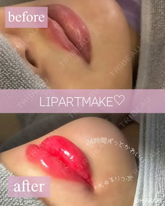 リップアートメイク 0日後 メイン用
